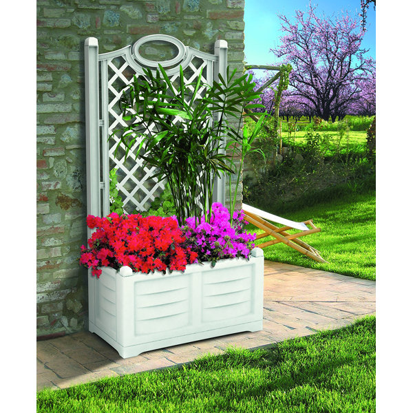 Red Barrel Studio® Amadeo Plastic Planter Box with Trellis & Reviews